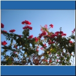 Beach_010.jpg