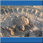 Beach_023.jpg