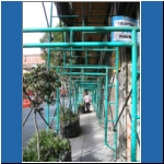 Doors_076.jpg